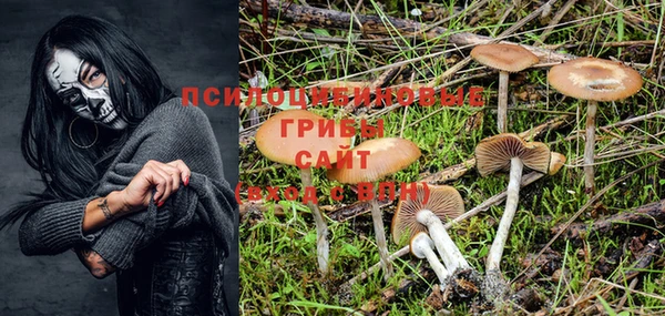 винт Покровск