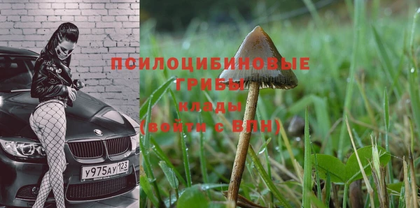 хмурый Покачи