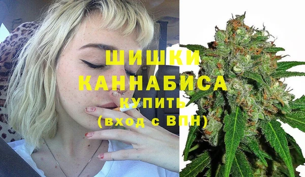 гидра Покров