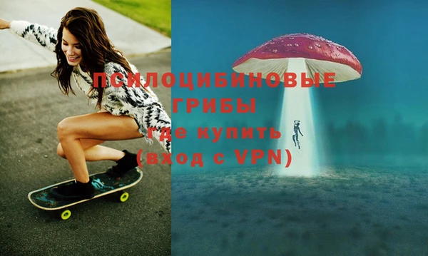 хмурый Покачи