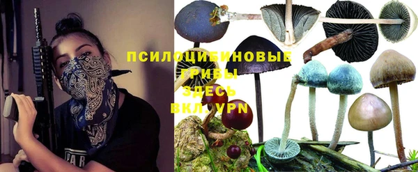 винт Покровск