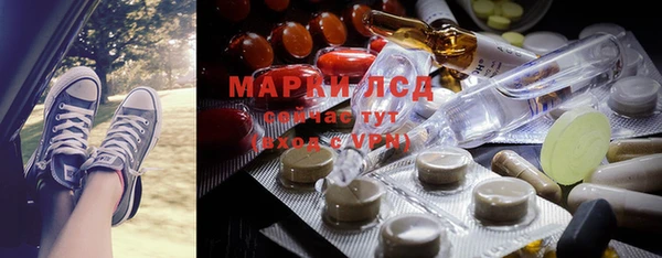 хмурый Покачи